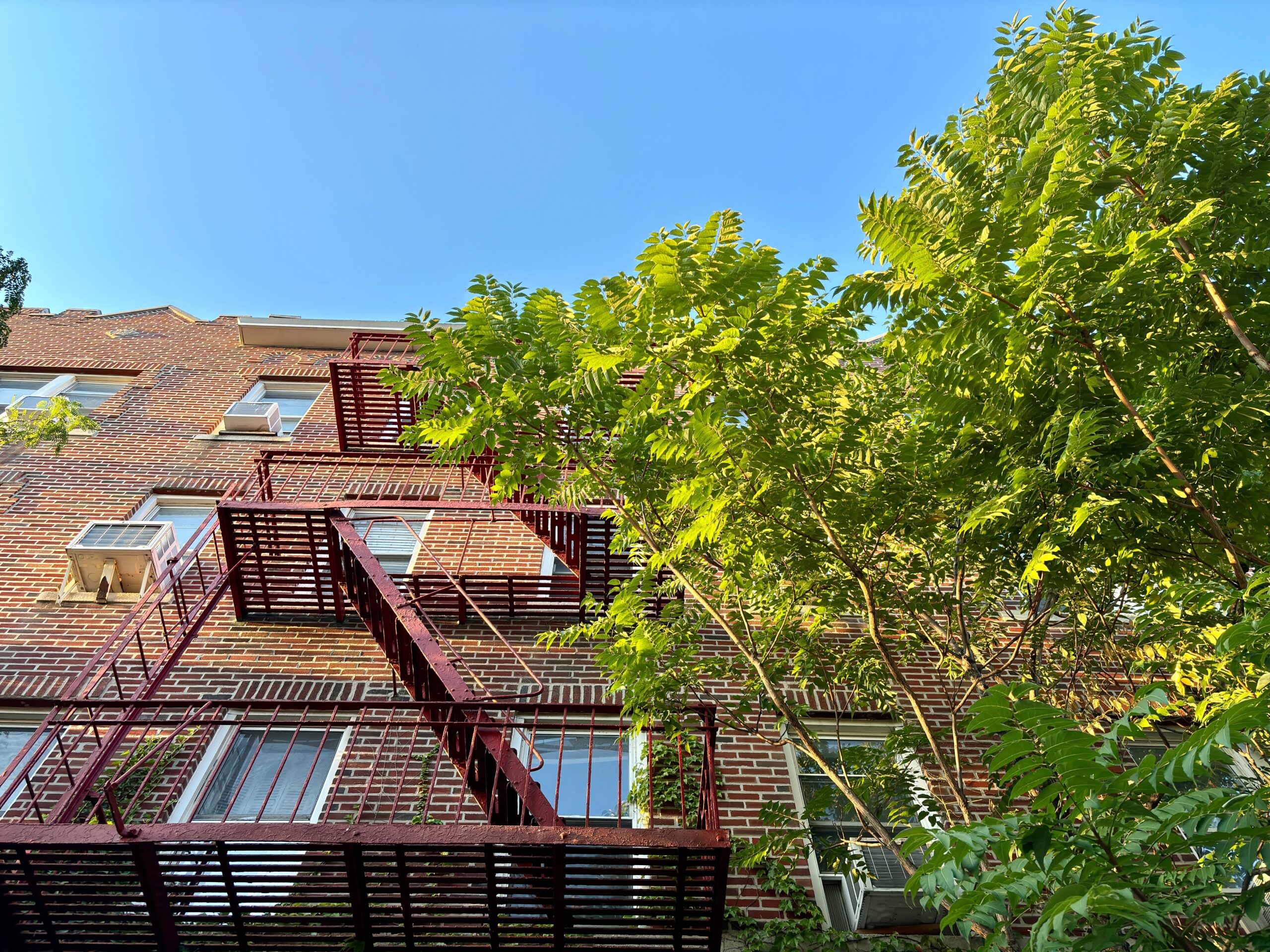 A classic Bronx apartment building with a red-brick façade and a traditional metal fire escape climbing its exterior. Several windows feature air conditioning units, while leafy green trees rise in front of the building, softening the urban setting. The mix of brickwork, fire escape, and greenery captures the everyday character of residential life in the Bronx.