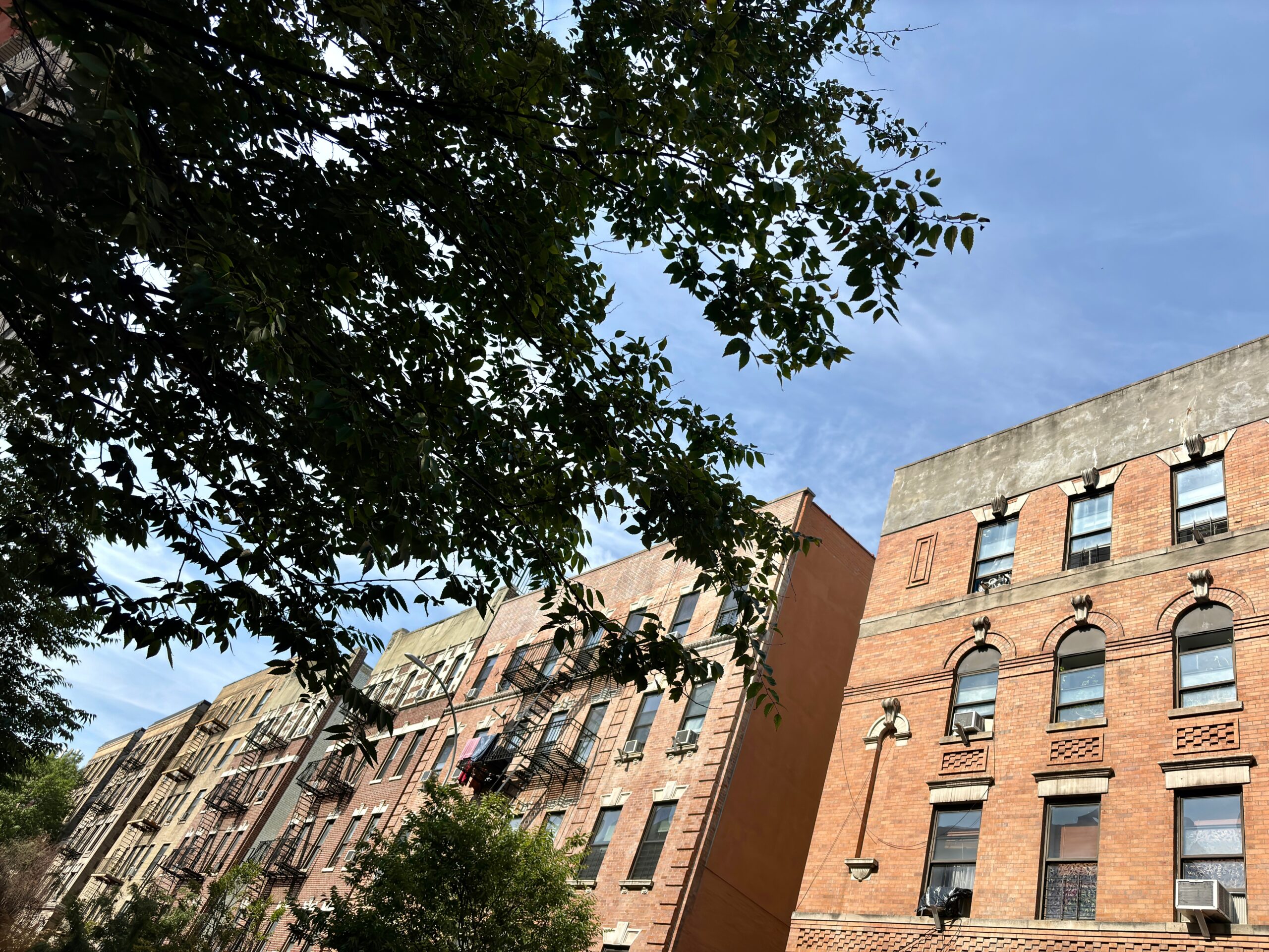 A row of townhomes with one with an elegant brown entry door.